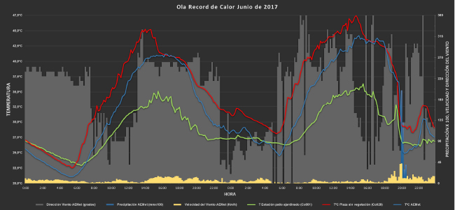 Grafico