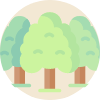 Enlace - Medio Forestal