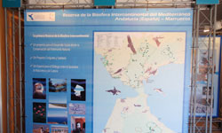 Avances del Proyecto