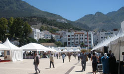 Avances del Proyecto