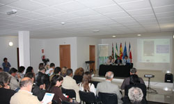 Avances del Proyecto