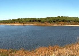 La laguna en un día soleado, al fondo se observa un gran pinar
