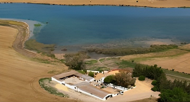 Vista aérea de la Laguna de Zarracatín: a su alrrededor se aprecián cultivos y un cortijo