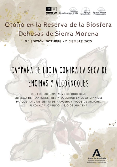 Cartel publicitario del evento