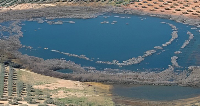 Vista aérea de la Laguna de Los Jarales rodeada de olivos