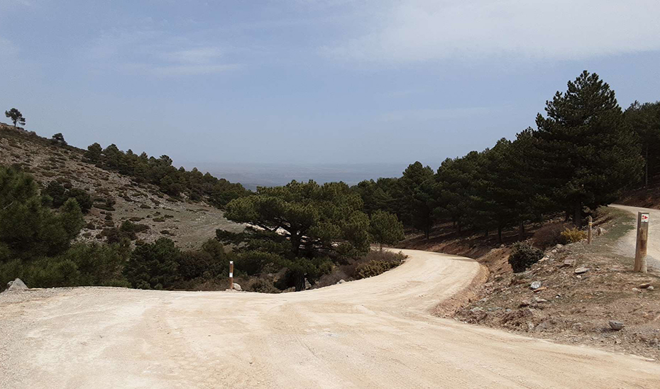 Ampliar imagen: camino ancho, realizado en tierra de albero apisonado, en la ladera de la montaña, con árboles a ambos lados