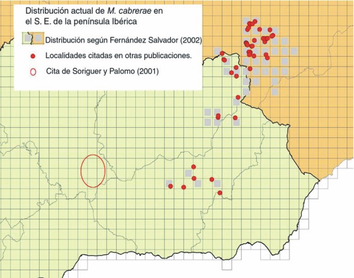 Distribución actual
