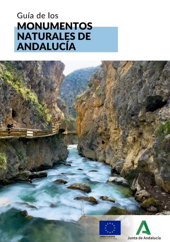 Tramo del Río Borosa, que discurre entre paredes verticales de roca, con una pasarela de madera para senderistas en el margen izquierdo.