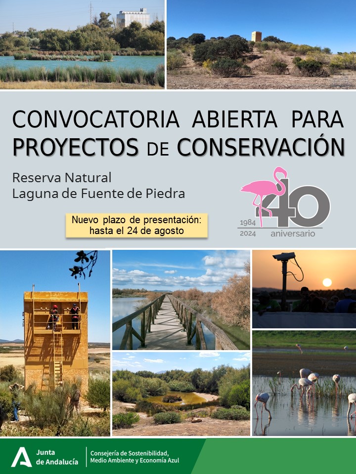 Cartel publicitario de la convocatoria.