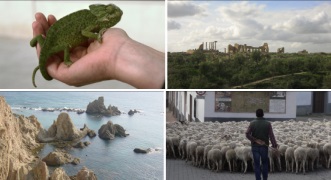 Mosaico de 4 imagenes sobre Reservas de la Biosfera: Camaleón, restos arqueológicos, acantilado y pastor con un rebaño de ovejas