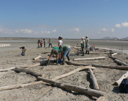 Actuaciones realizadas en el proyecto LIFE Conservación y restauración de humedales andaluces