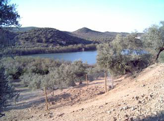 Actuaciones realizadas en el proyecto LIFE Conservación y restauración de humedales andaluces