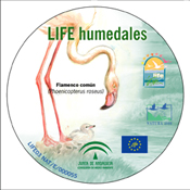 Actuaciones realizadas en el proyecto LIFE Conservación y restauración de humedales andaluces