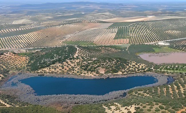 Vista aerea Laguna Amarga rodeada de plantaciones de olivo.