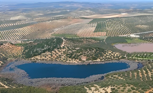 Vista aérea de la Laguna Amarga rodeada de plantaciones de olivo