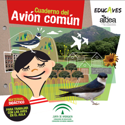 Cuaderno del Avión común (2011)