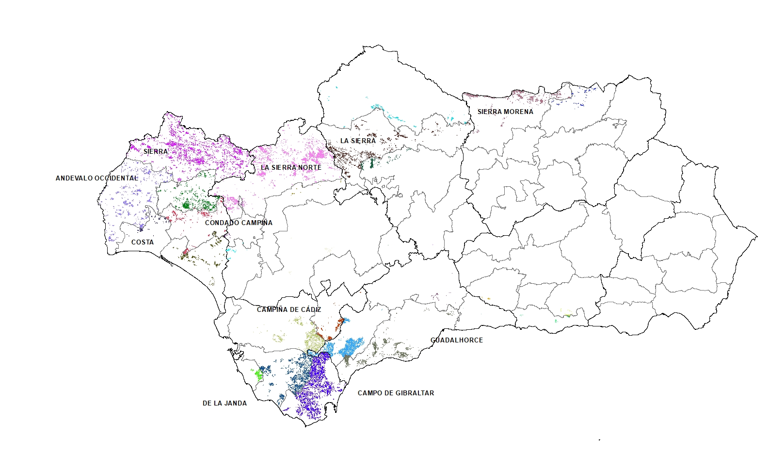 Ampliar imagen: mapa de Andalucía con colores que representan la presencia del alcornocal en la región