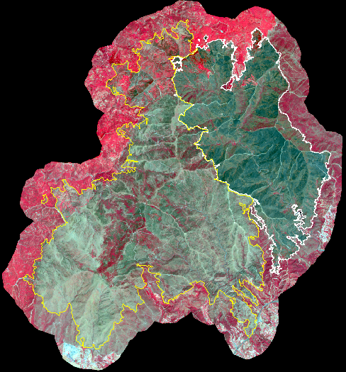 Ortoimagen Pléiades Neo (2022/07/09) sobre ámbitos afectados en los incendios de Sierra Bermeja, Jubrique 2021 y Pujerra 2022