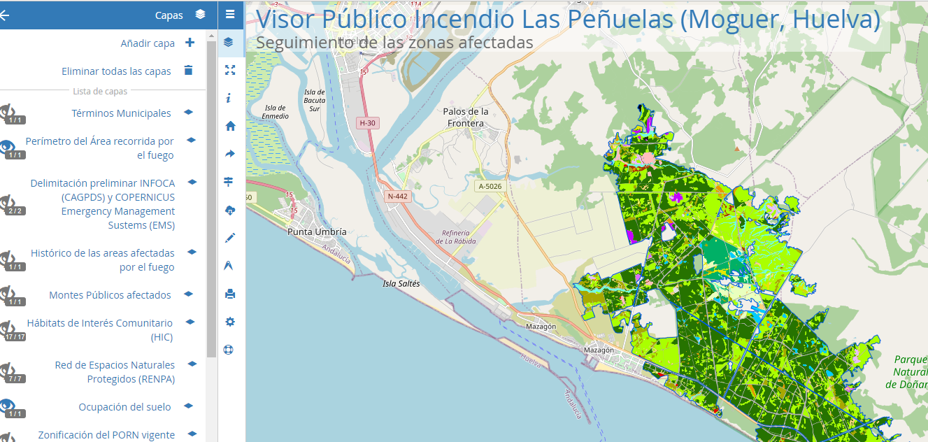 Ampliar imagen: detalle de mapa que muestra áreas por colores diferenciando zonas del incendio de Las Peñuelas, Moguer(Huelva)