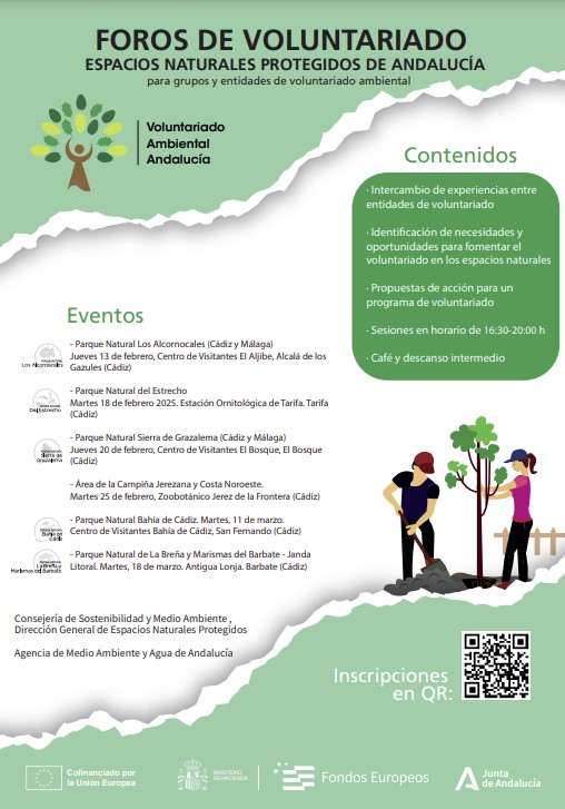 Cartel de la actividad
