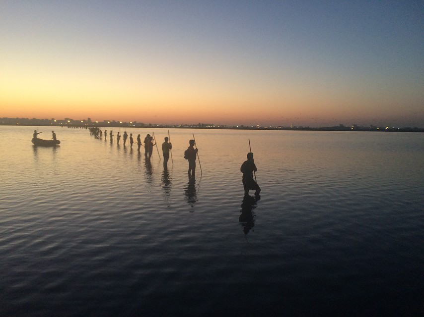 Ampliar imagen: acciones de voluntariado para el anillamiento de flamencos en las Marismas del Odiel, al amanecer