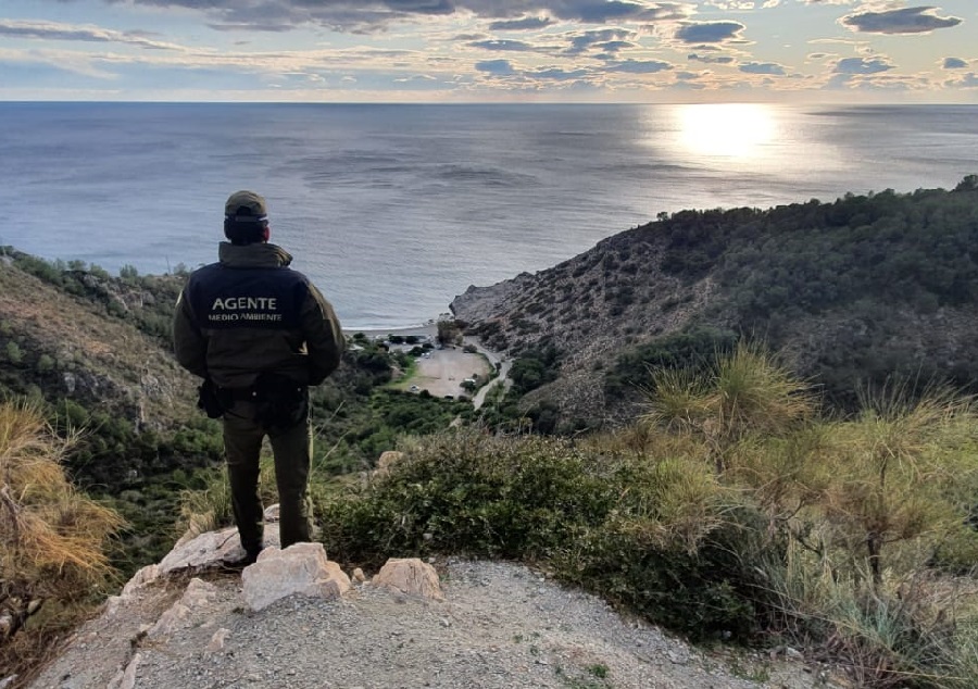Ampliar imagen: Agente de Medio Ambiente en la cima de un monte observando el mar