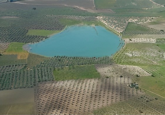 Vista Aérea de la Laguna del Rincón rodeada de olivos