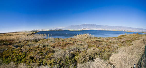 Ampliar imagen: vista panorámica del paraje, con formaciones vegetales emblemáticas de este tipo de paisaje