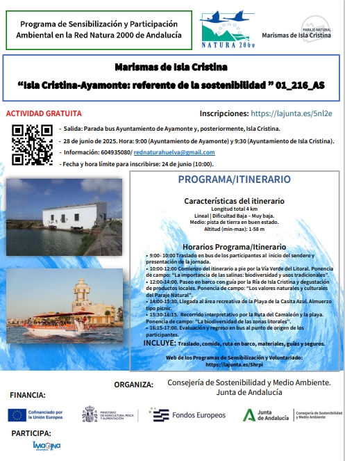 Cartel de la actividad