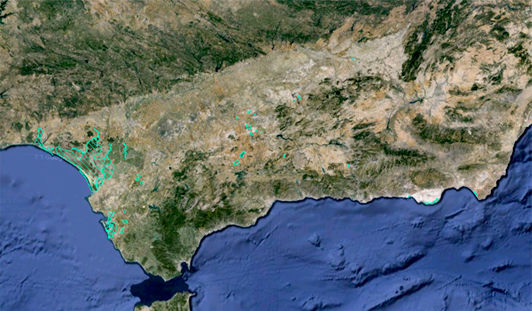 /medioambiente/portal/documents/20151/2619220/mapa_ramsar_small_v2.jpg/a1afdb55-a8f0-d0ae-9ab0-aad976fe5f48?t=1535635114000 /medioambiente/portal/documents/20151/2619220/mapa_ramsar_small_v2.jpg/a1afdb55-a8f0-d0ae-9ab0-aad976fe5f48?t=1535635114000