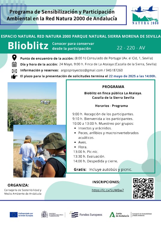 Cartel de la actividad