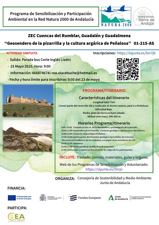 Cartel de la actividad