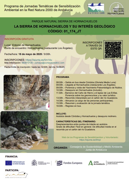 Cartel de la actividad