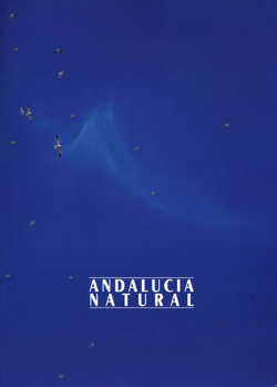 Portada publicación