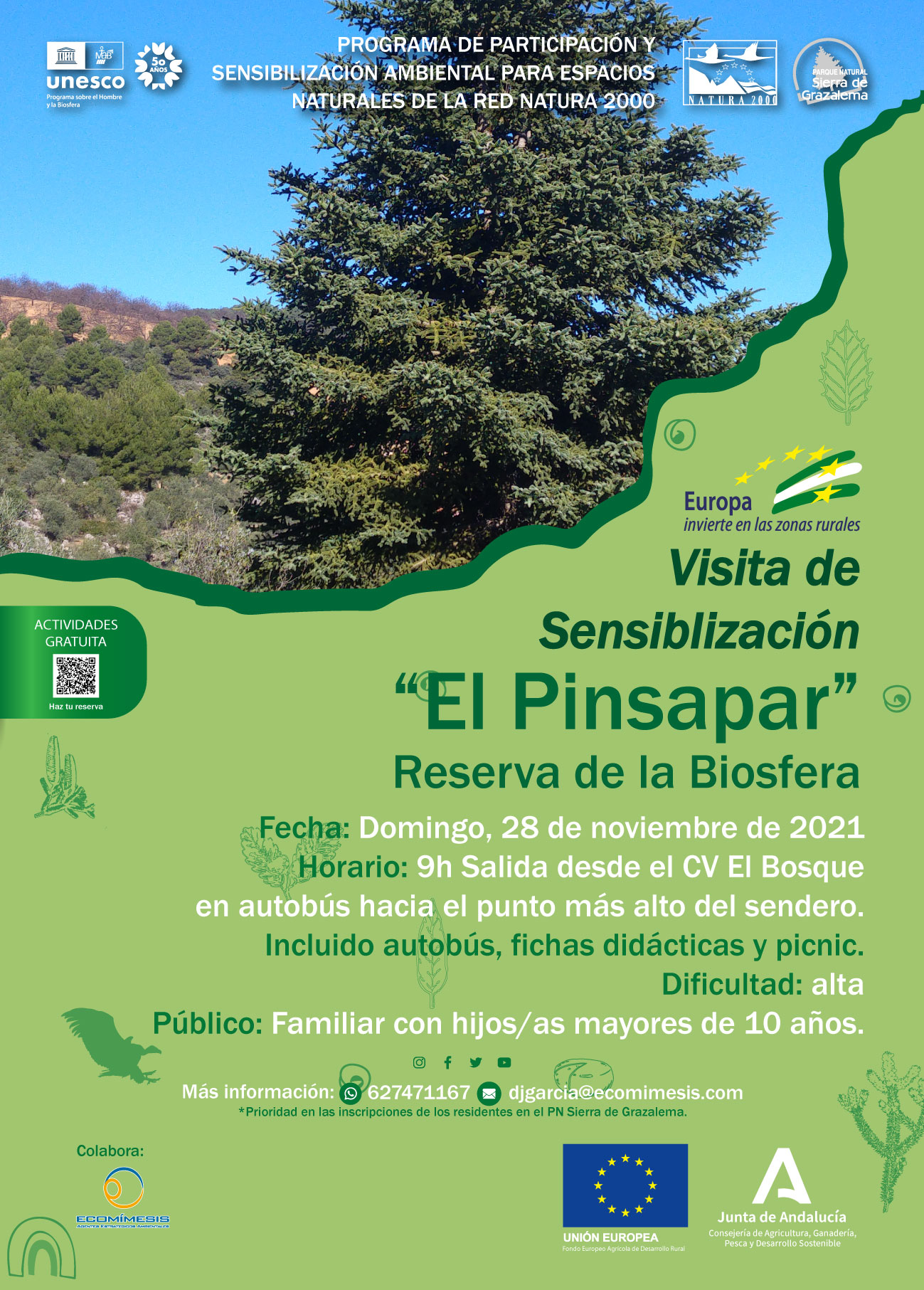 Cartel de la actividad