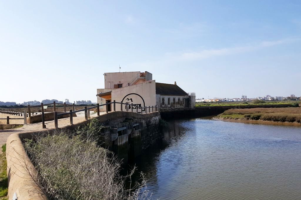 Ampliar imagen: un puente sobre una lámina de agua muestra al fondo y da acceso al Ecomuseo del Molino Mareal