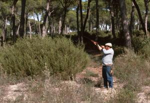 El BOJA publica la nueva orden de vedas que regula el calendario de caza en Andalucía