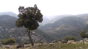 Aprobados los planes de desarrollo sostenible de tres Parques Naturales de Andalucía