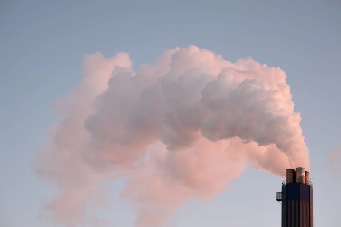 Causas del Cambio Climático