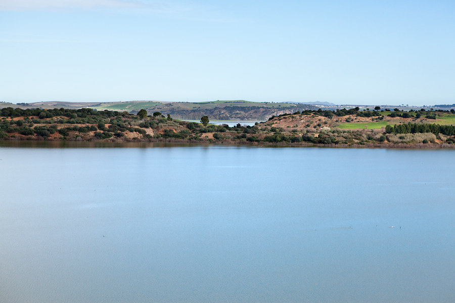 Lámina de agua de la laguna de Medina al fondo se observa la vegetación de orilla y arbolado.