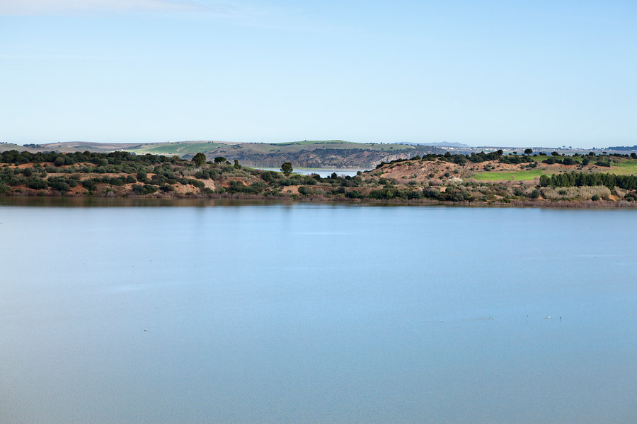 Ampliar imagen: lámina de agua de la laguna de Medina al fondo se observa la vegetación de orilla y arbolado