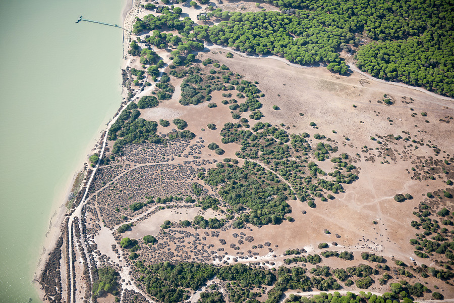 Ampliar imagen: Vista aerea del Parque Nacional Doñana