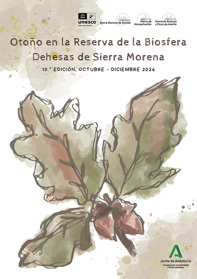 Cartel del programa