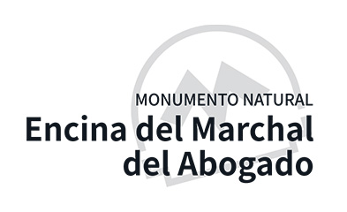 Logo Monumento Natural Encina del Marchal del Abogado
