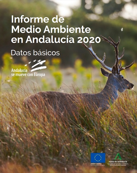 Portada del Informe de Medio Ambiente en Andalucía 2020. Datos básicos