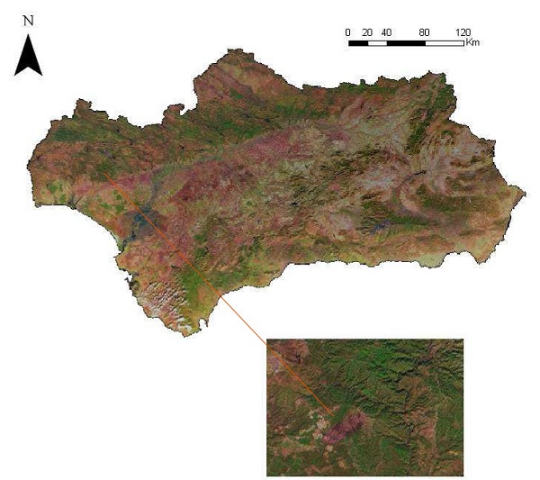 Cartografía de áreas recorridas por el fuego