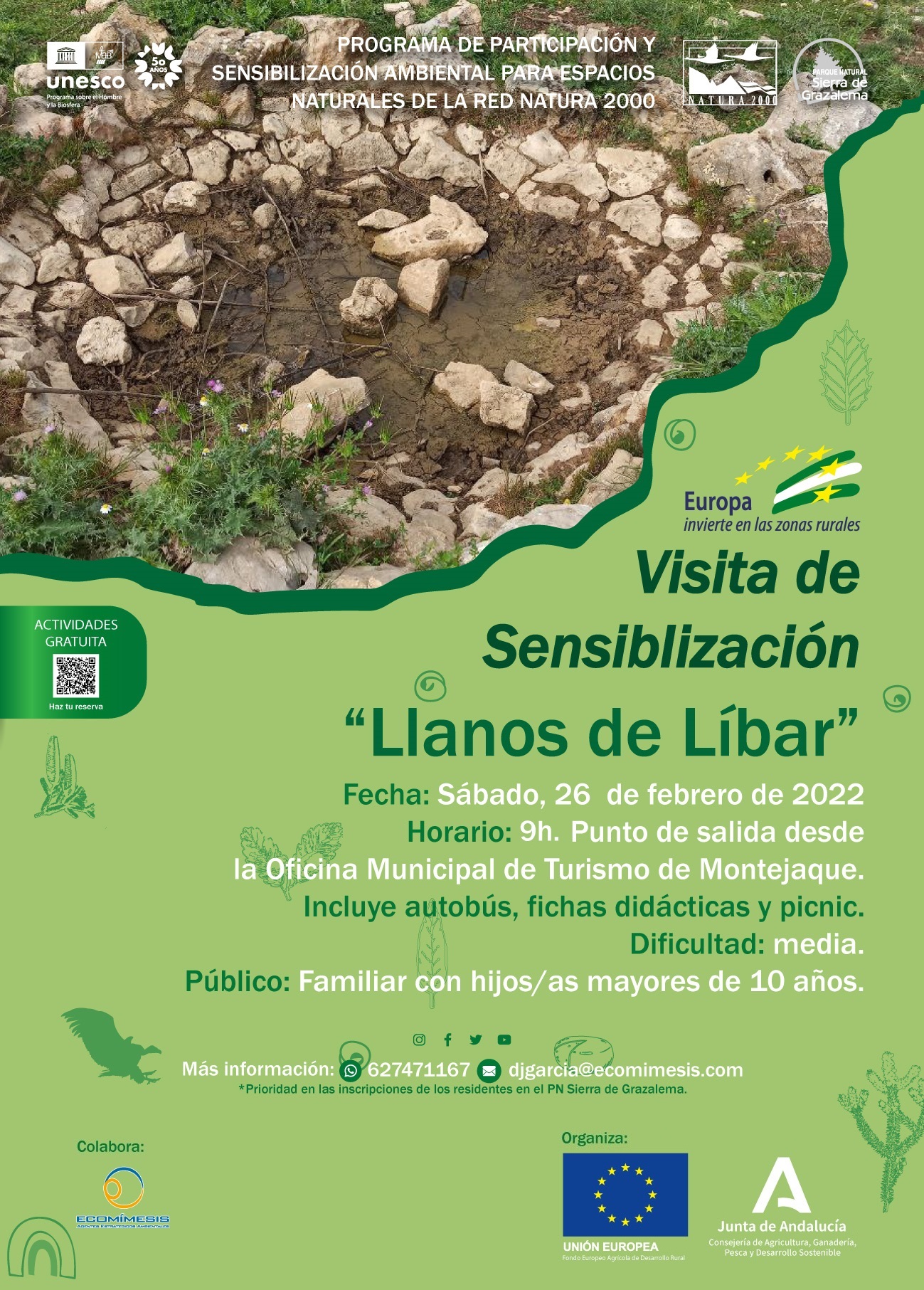 Cartel de la actividad