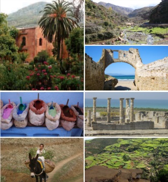 Mosaico de hermosas imágenes de la Reserva de la Biosfera Intercontinental