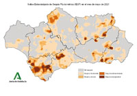Intensidad de la sequía pluviométrica