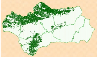 Mapa de Andalucía en el que se marcan la formaciones adehesadas que existen en ella  
